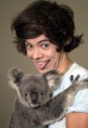 /album/fotogaleria/harry-of-one-direction-meets-a-koala-bear-1-jpg/
